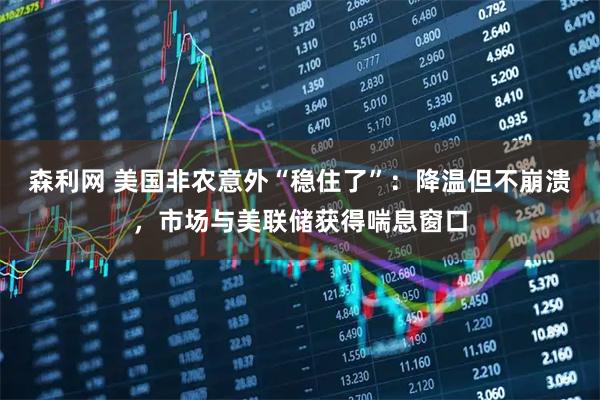森利网 美国非农意外“稳住了”：降温但不崩溃，市场与美联储获得喘息窗口