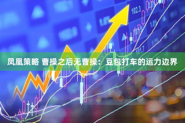 凤凰策略 曹操之后无曹操：豆包打车的运力边界